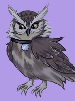 Owl